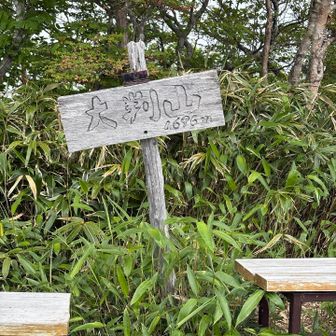 第三チェックポイント大判山⛰️