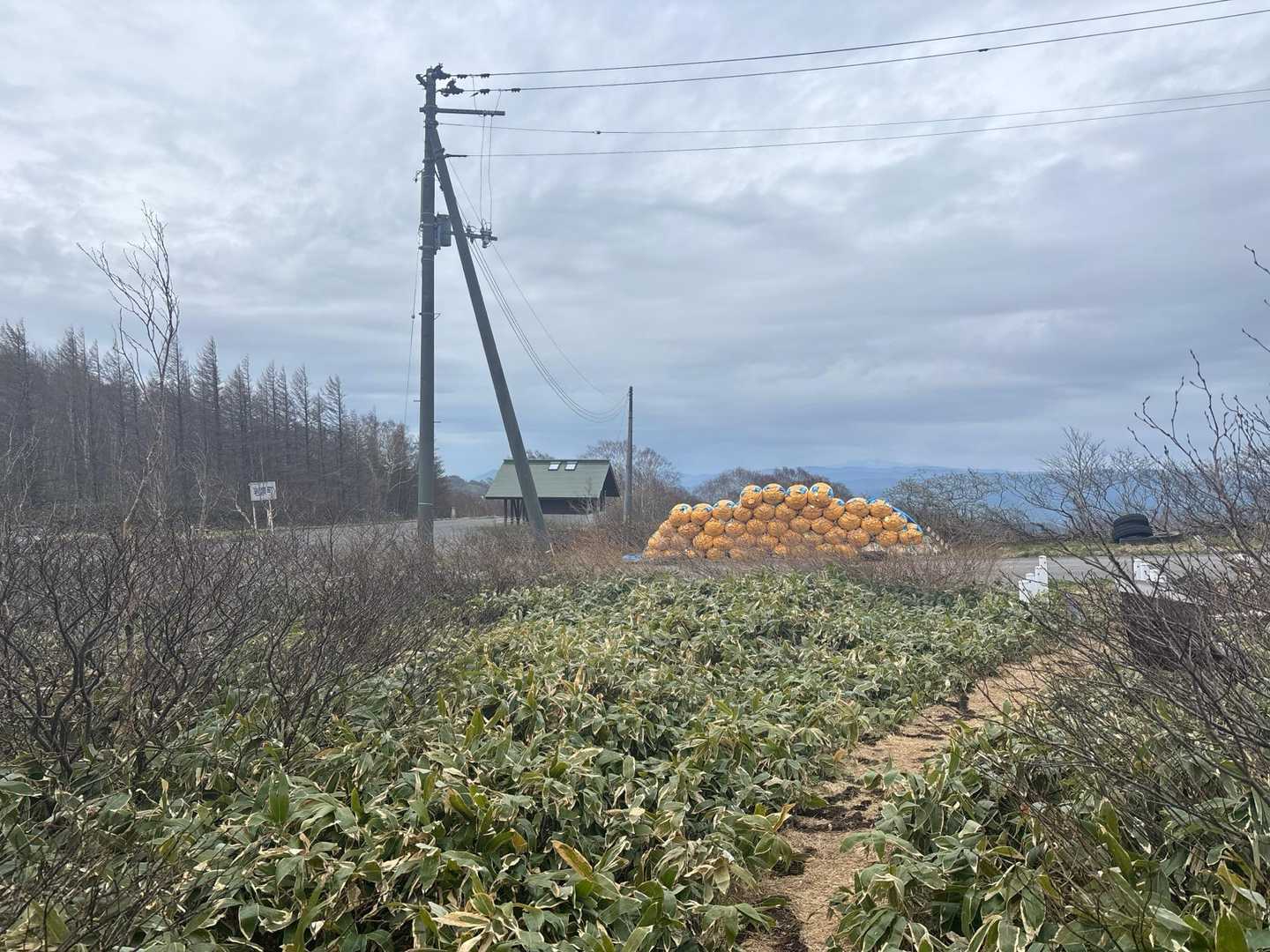 袖山登山口から