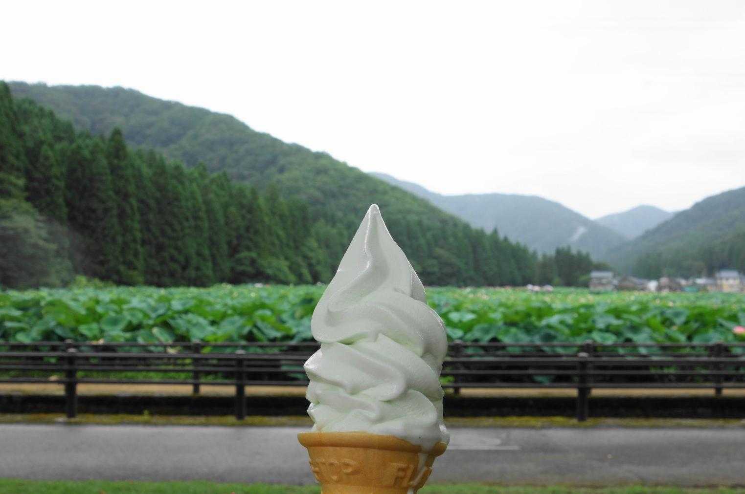 おつかれ山▲でした