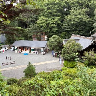 山頂から