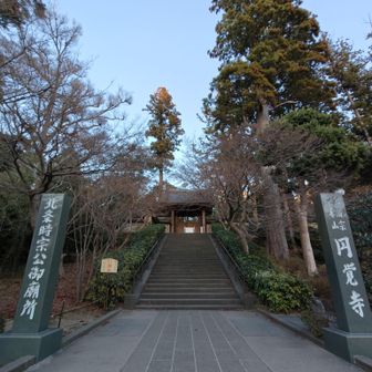 円覚寺も閉門してる。
階段を彩るモミジはなくなったね。