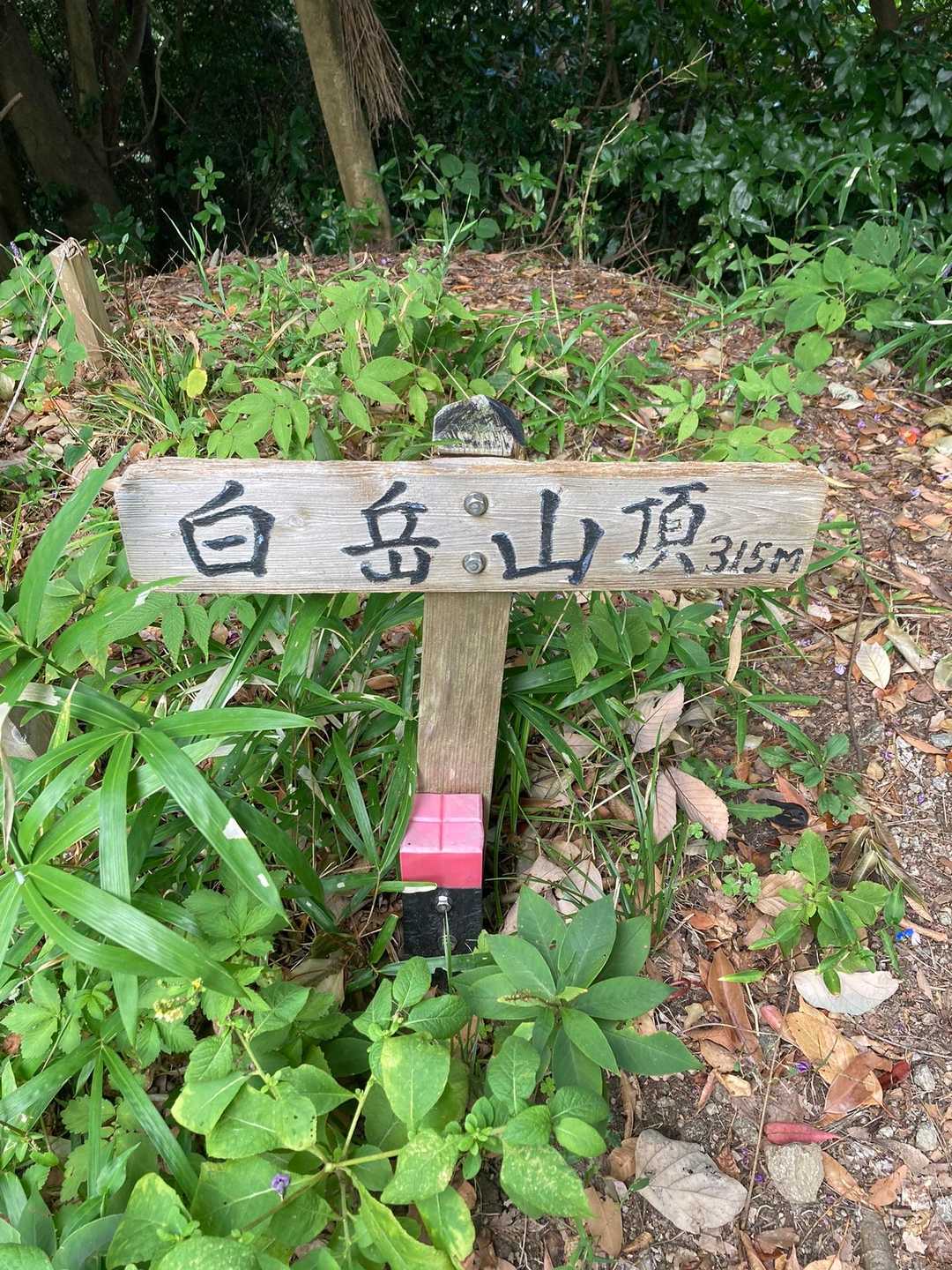 立花山 周回コースの写真