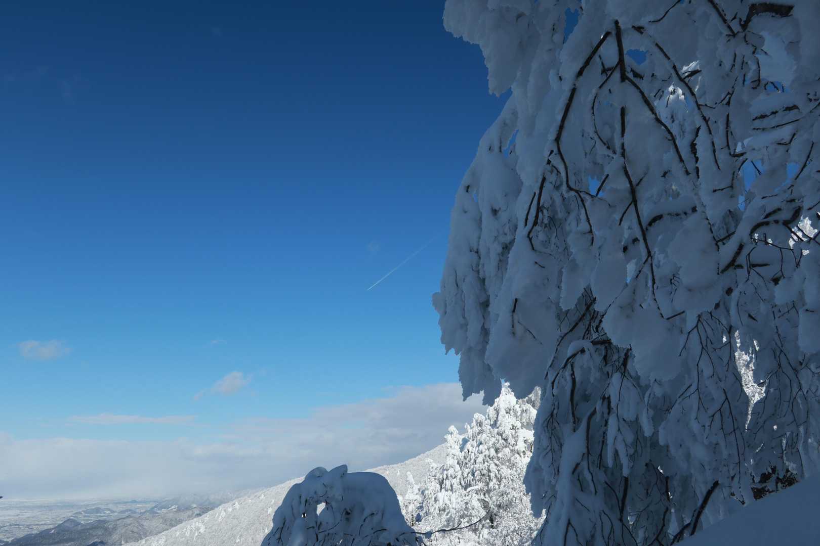 きました瀧山ブルー