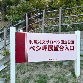 駐車場がないので鴛泊フェリーターミナル無料駐車場の利用が推奨されてる