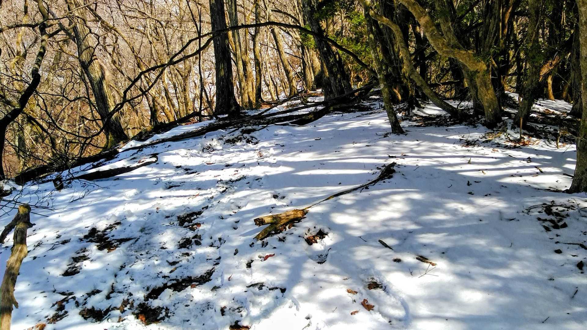 山頂付近も雪が