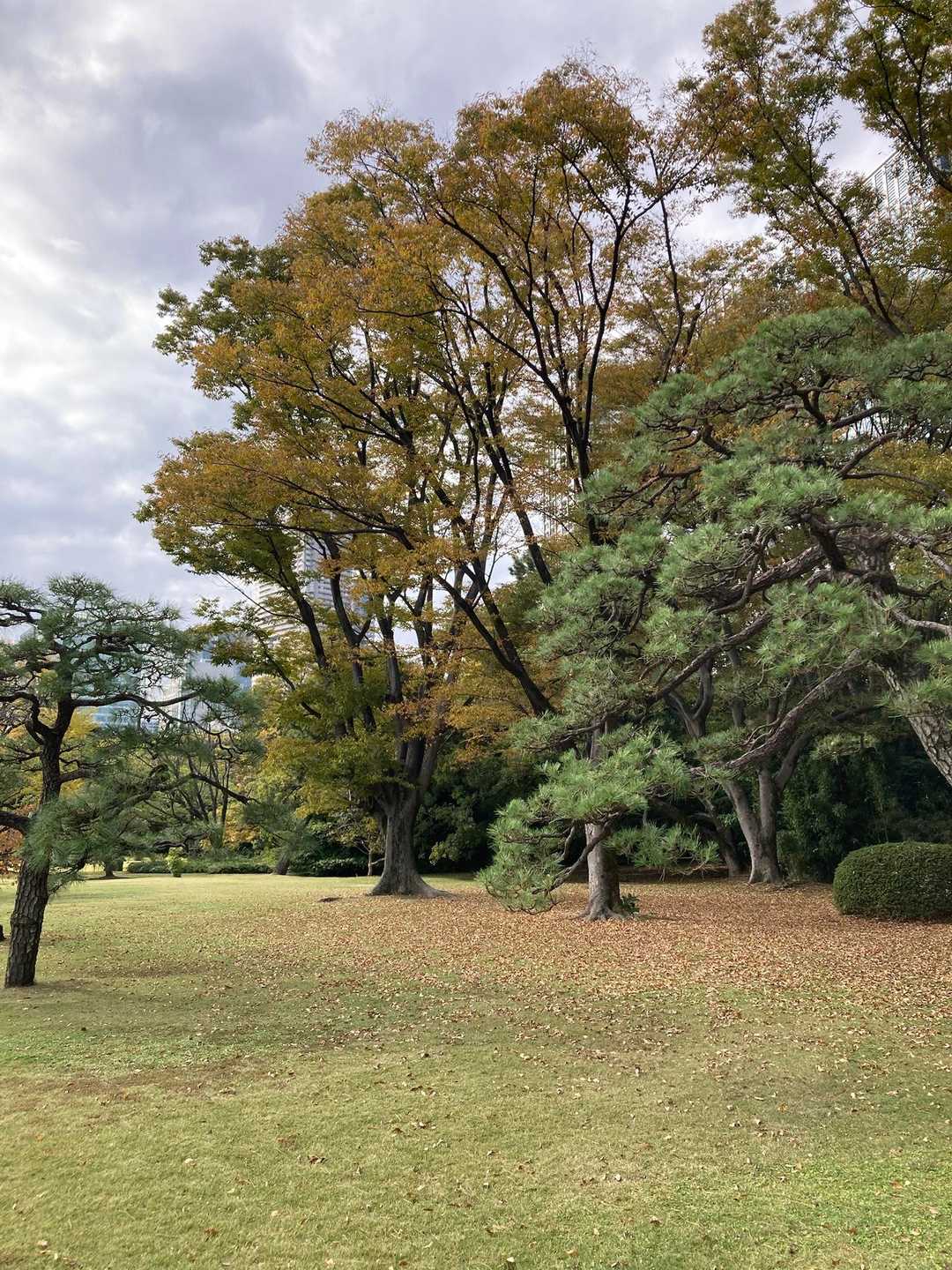 浜離宮恩賜庭園 周回コースの写真