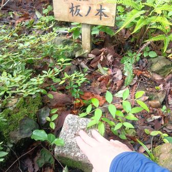 四等三角点・板の本