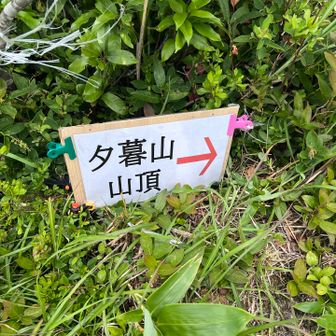 この標識ウソだよ。
行ったら、道ないよ