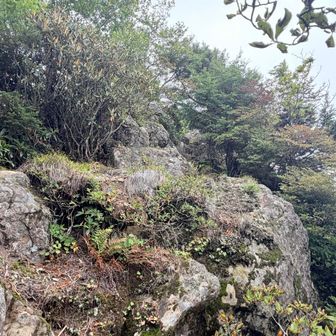 岩場少しあり⚠️