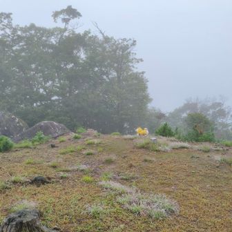 まだまだ走り回ってます💨