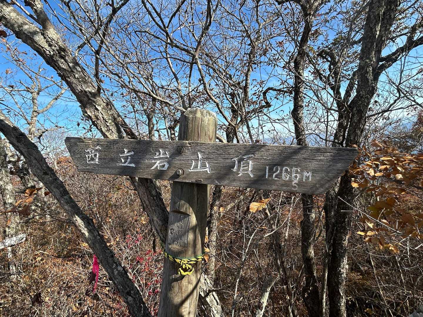 山頂到着