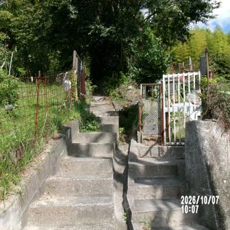 鉢巻山登山口
(標識無し)