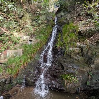 水無瀬の滝。山に染み込んだ水💧って相当ですねぇ😸😭。