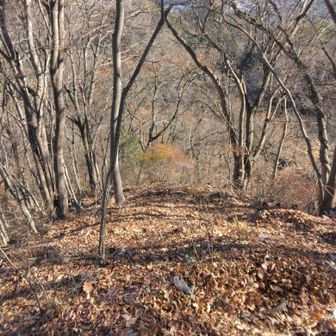 もう滑りまくり