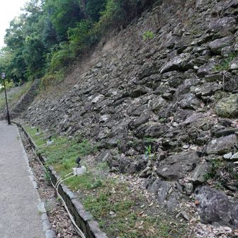 鶴の溪石垣
浅野時代にこの場所で鶴を飼っていた伝承から名付けられた
