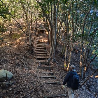 と思ったら、今度は登り！😹