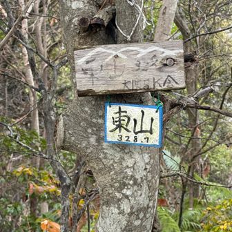東山山頂、三角点もあります