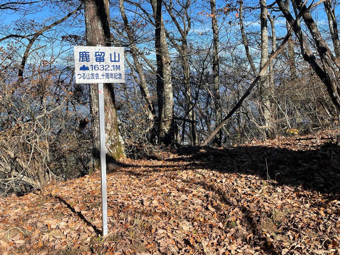 あれっという間に到達しました。鹿留山です。眺望も特になんで、サクッと戻ります😀