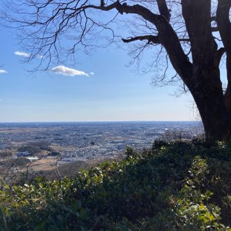 東京スカイツリー方面