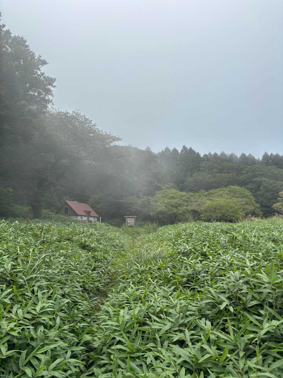 何かヤバなってきましたよー😨
3時に雨マーク☔️やったけん　早よ降りましょー💦