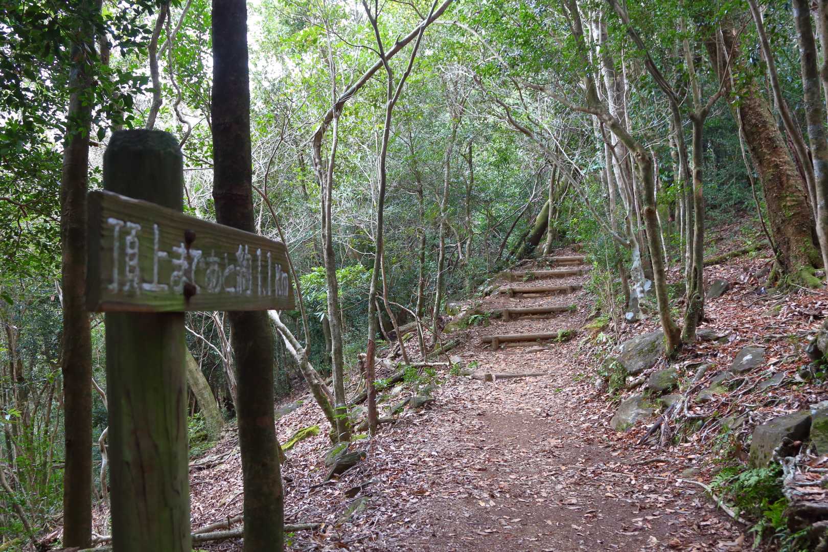 八重山登山道入口-炭焼窯跡-八重山 往復コースの写真