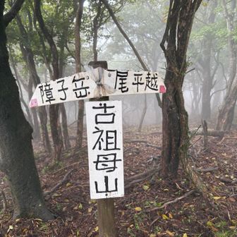 山頂付近の分かれ道