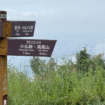 下界見えて