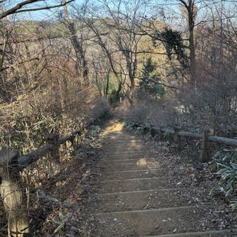 天覧山から多峯主山に向かう道。いったん結構下ります