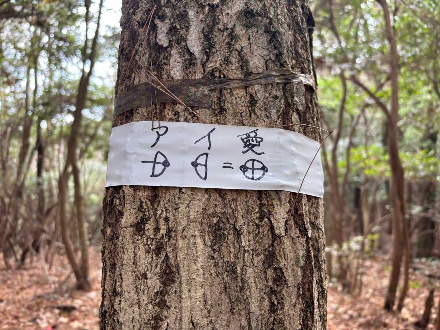 …？
裏には空海様と書いてある