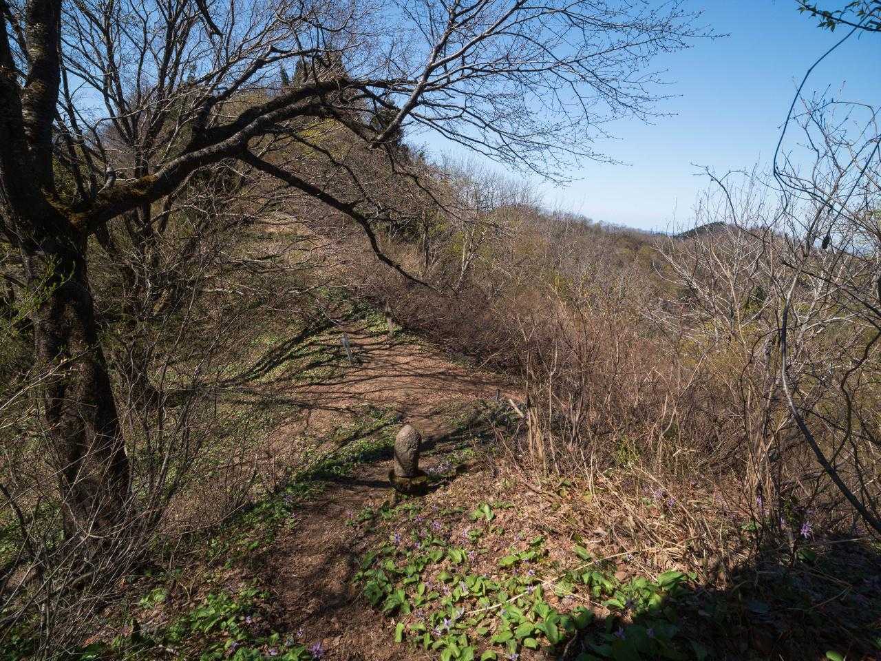 丸山から進むと桐沢峠に下りてきた