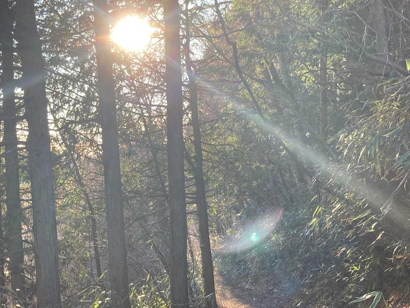 氷点下だけど日差しもあり歩くとちょうどいい感じ✨
