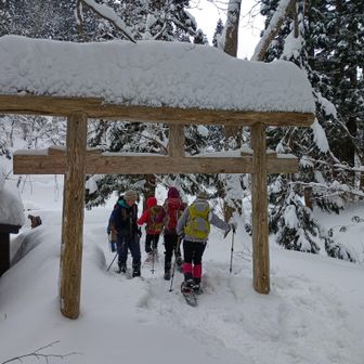 鳥居くぐり車道に出る。
その後アクシデント