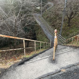 登山口を行こうしたら…💦
なかなか角度のある階段