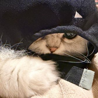 かず