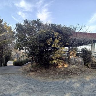 展望所。ここまで車で来ることもできるので、セコップもできます。展望所は木が邪魔で眺望はいま一つ。