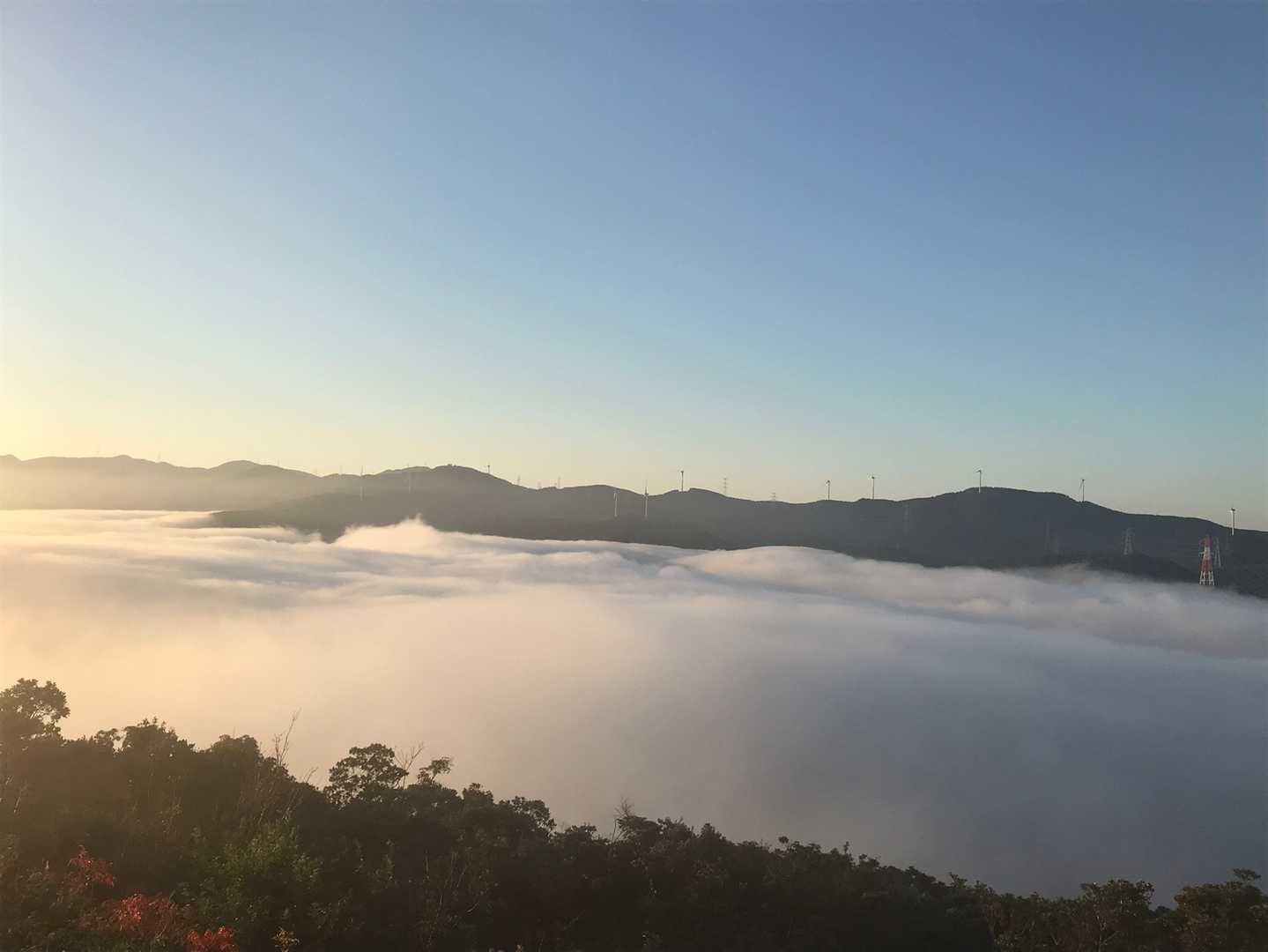 流れる霧が河川沿いに当たり、打ち寄せる波みたい🌊