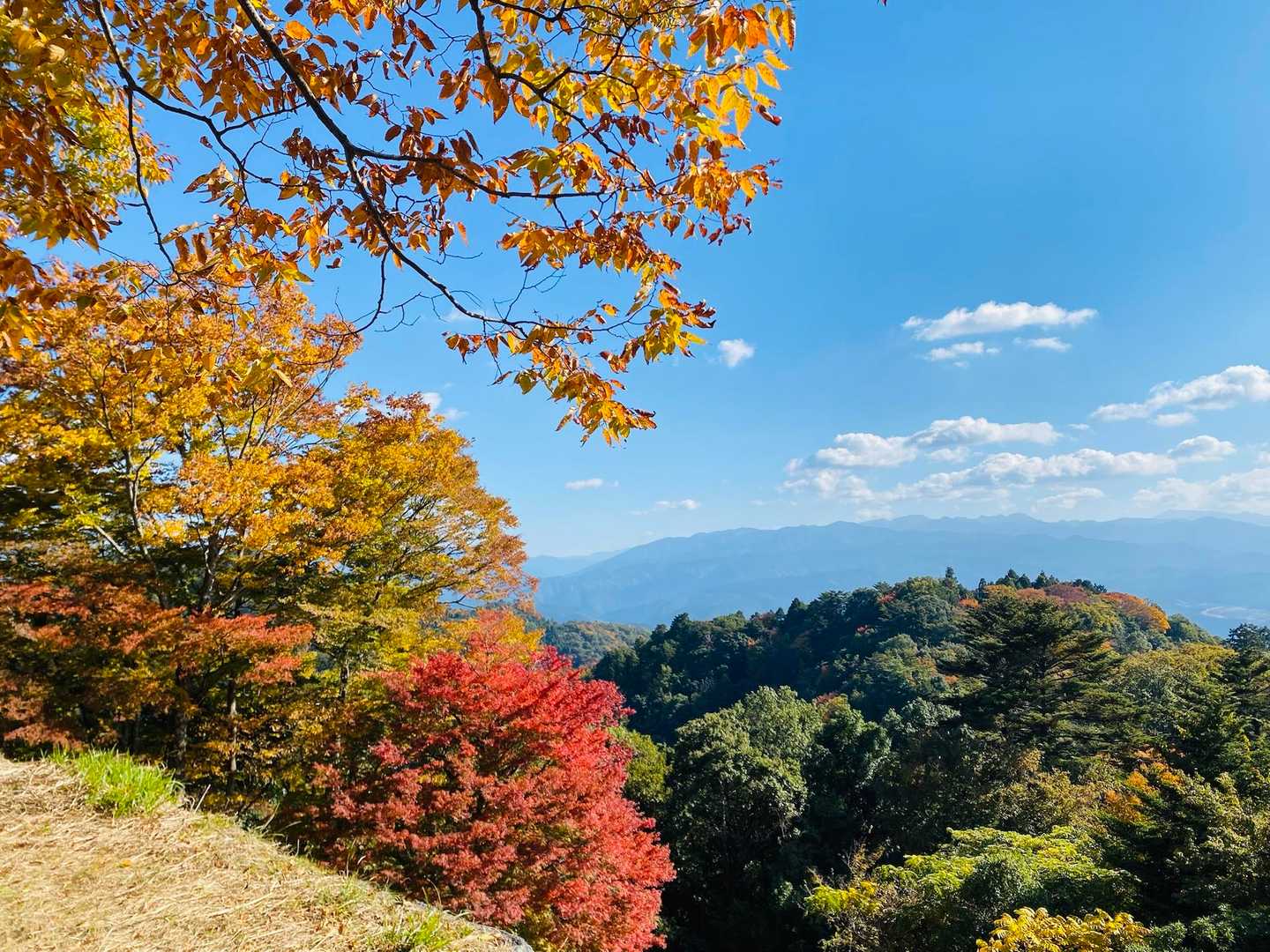 高取山-高取城跡入口 周回コースの写真