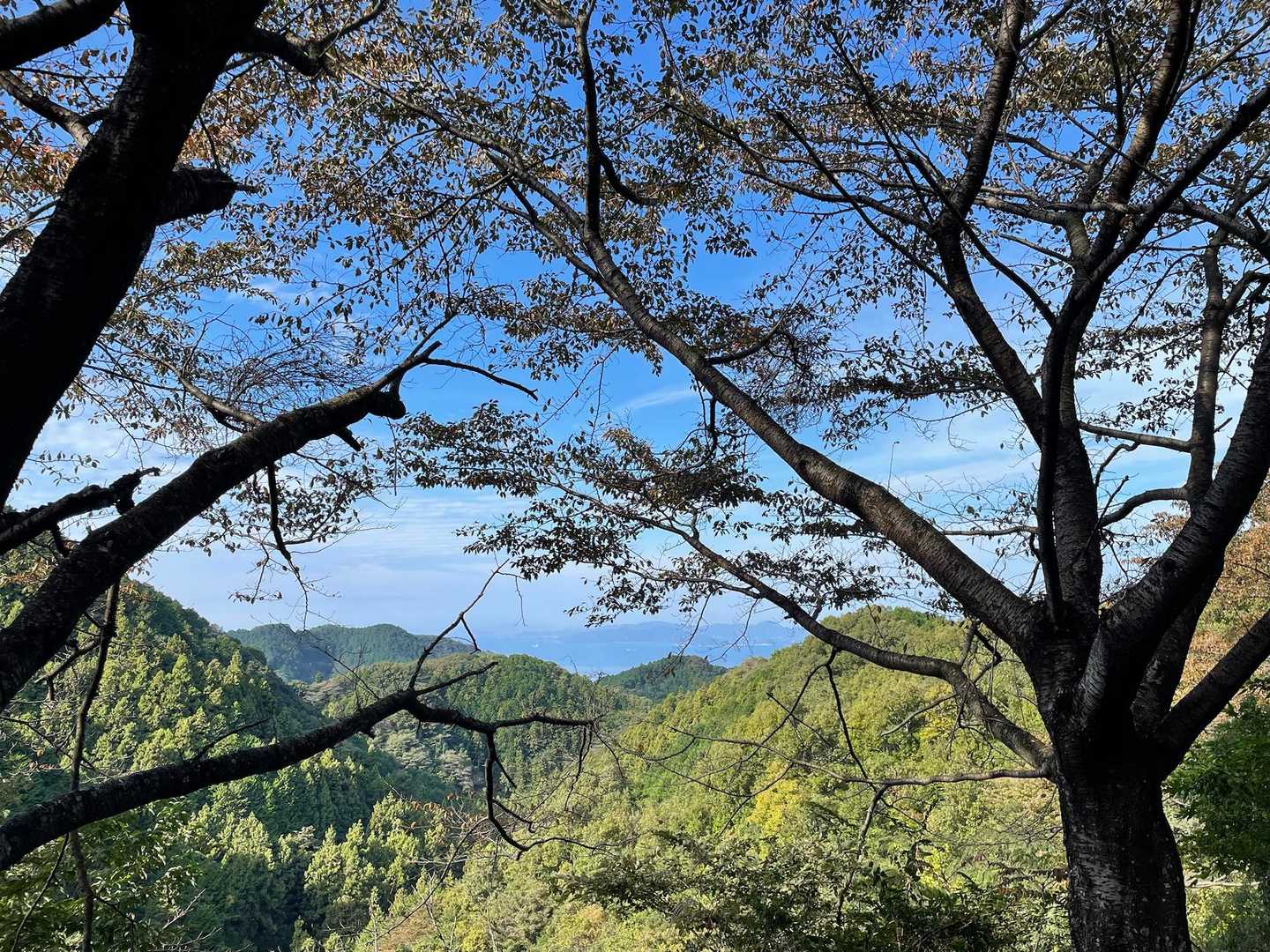 青空で気持ちいい