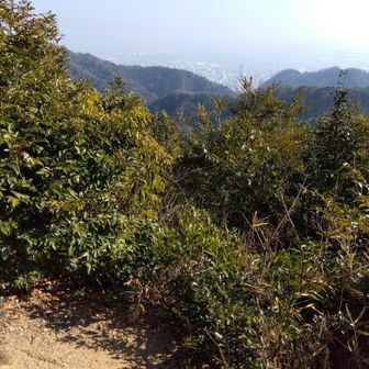 再度山山頂からの展望。以前は草木が繁り展望はありませんでした