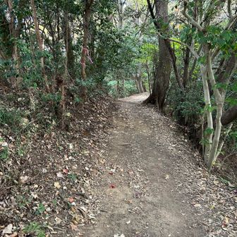 風早橋バス停で降りて5分くらい歩いたら登山口です