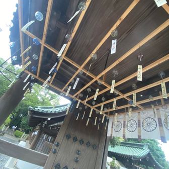 ココにも。涼しげ