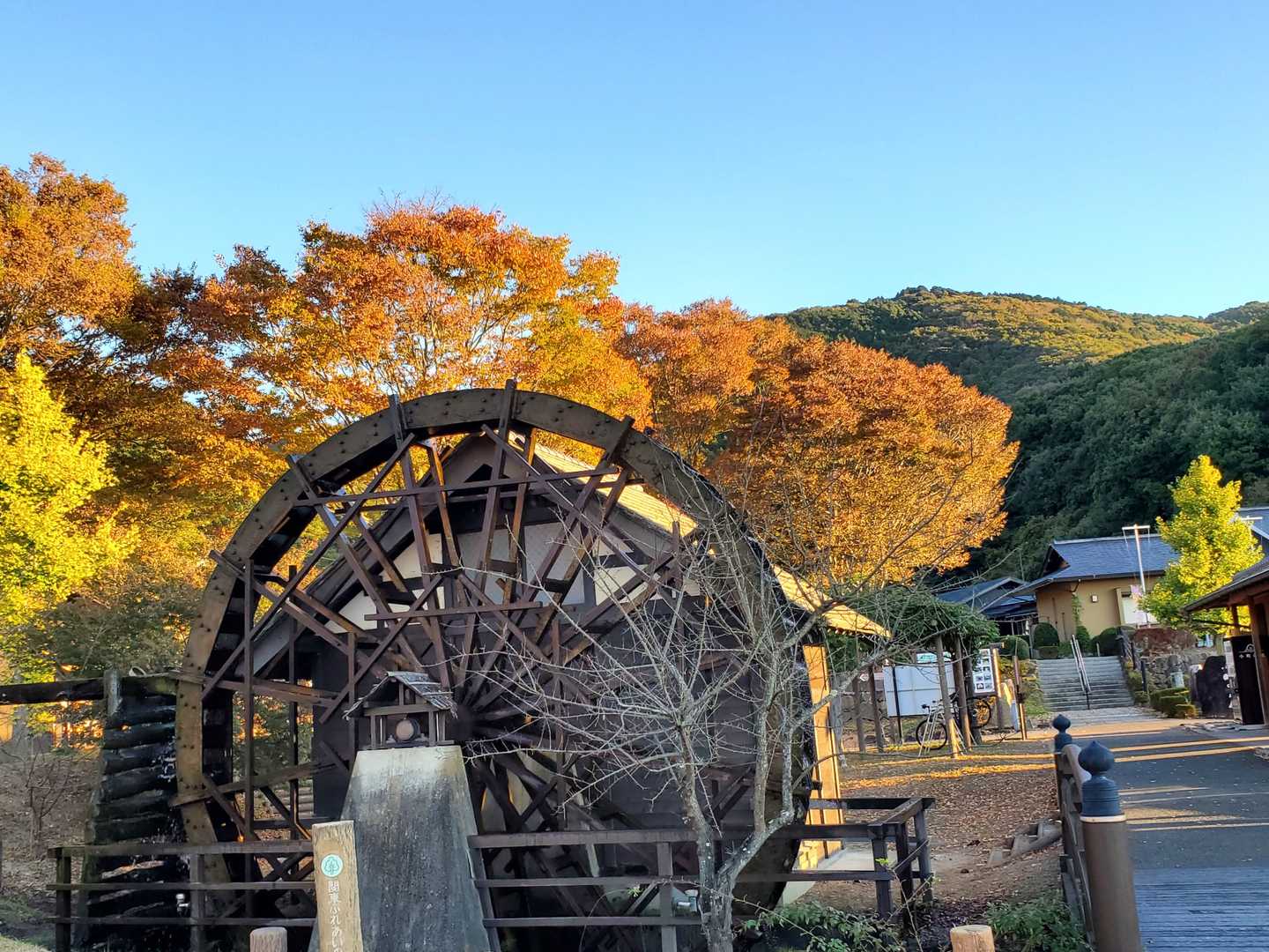 ２日前と変わりませんが画像
スタート