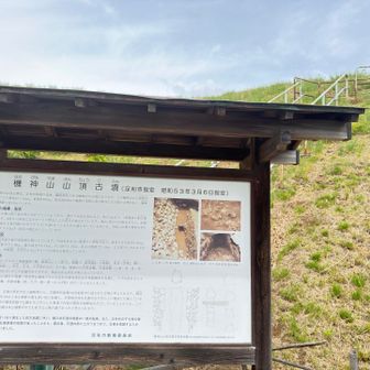 機神山118m
(古墳のためピークは踏めません🙅)