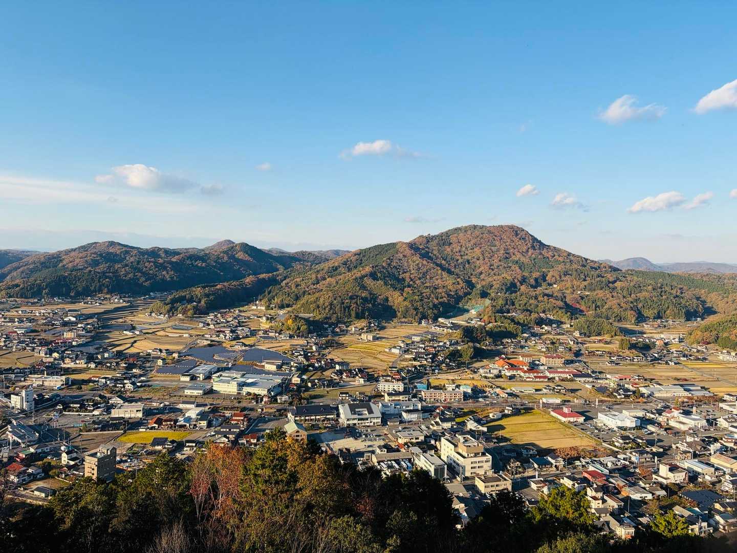 展望台から①