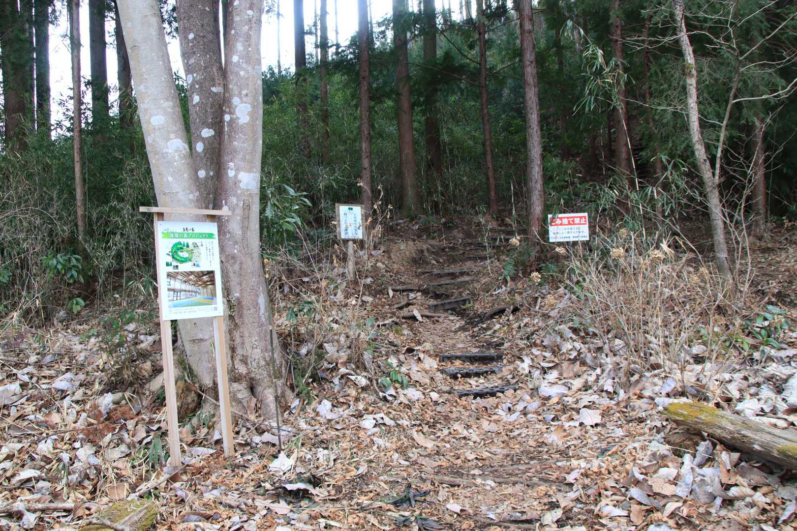 本日のコースは、上板橋集落センター🅿より山頂経由の反時計回り約4㎞、2時間。