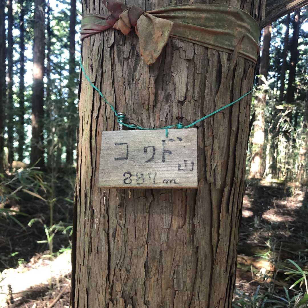 「コワド山」いえいえ違います…