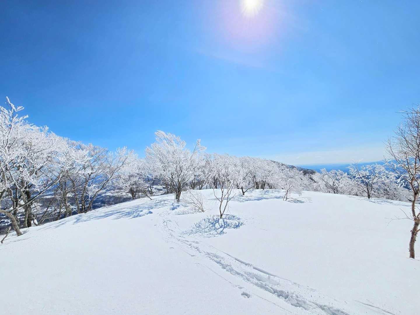 ゴンドラ山頂駅-大日ヶ岳 往復コースの写真