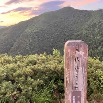 ２日目朝
いい景色