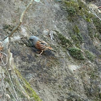 可愛い子がいました