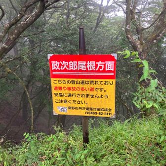看板の通り安易に歩きたい道ではないけど本日はやむを得ない🤣
戸沢にクルマで来た人には便利な登山道です🤭